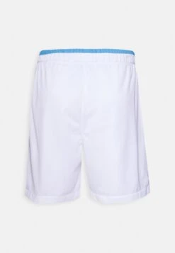 Reebok Classic Iverson Ball - Shorts - White/Essential Blue -Stock X 02756288ccfb42fda3f630893675ab2f