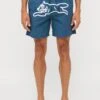 RUNNING DOG SWIM - Swimming Shorts - Green