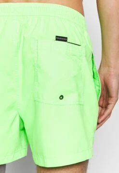 Quiksilver Everyday Volley 15 - Swimming Shorts - Green Gecko -Stock X 098e41ddaea94ccea65a3aea9c97d230