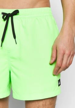 Quiksilver Everyday Volley 15 - Swimming Shorts - Green Gecko -Stock X 0af7e93624024cbc9eb93aa6cf33d38d