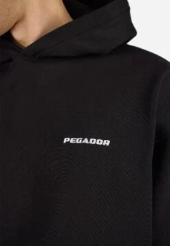 Pegador LOGO HOODIE - Sweatshirt - Washed Black 25 Pegador LOGO HOODIE - Sweatshirt - Washed Black -Stock X 12abe5f013de4e3294a592715b64985f