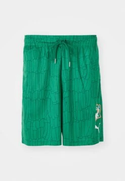 Puma FIF RELAXED SHORTS - National Team Wear - Dark Myrtle 14 Puma FIF RELAXED SHORTS - National Team Wear - Dark Myrtle -Stock X 1338f6a5080d4e9faa8ba19e01bd73ce