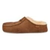 Shepherd Slippers - Brown -Stock X 15c4739d14ab47fe87fb0ec64e788efd 1