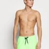 Quiksilver Everyday Volley 15 - Swimming Shorts - Green Gecko -Stock X 17ceb5aa577c438d931bcfca92a59afa