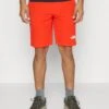 The North Face Short - Sports Shorts - Fiery Red -Stock X 1816f546a75c4e0794a15780524d6019