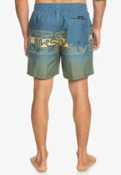 Quiksilver Everyday Wordblock Volley 17 - Swimming Shorts - Bering Sea -Stock X 18a42512edd547b8bf93f959fad1041c