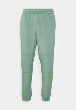 Puma Fit - Tracksuit Bottoms - Eucalyptus -Stock X 1a883756541a40d3b6bba724f8958c8a