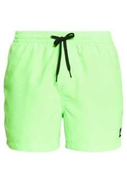 Quiksilver Everyday Volley 15 - Swimming Shorts - Green Gecko -Stock X 1ba7d5d5f0ec47a58f538712d61d9a3a