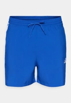 Adidas Sportswear ESSENTIAL THREE STRIPES CHELSEA SHORT - Sports Shorts - Grey Three/white -Stock X 1c353f43313f4f60b3a8b828fce8269f