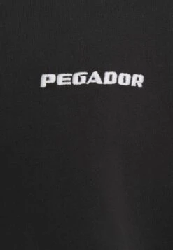 Pegador LOGO HOODIE - Sweatshirt - Washed Black 27 Pegador LOGO HOODIE - Sweatshirt - Washed Black -Stock X 1d86ba8a32e04292be451437b07b0e4d