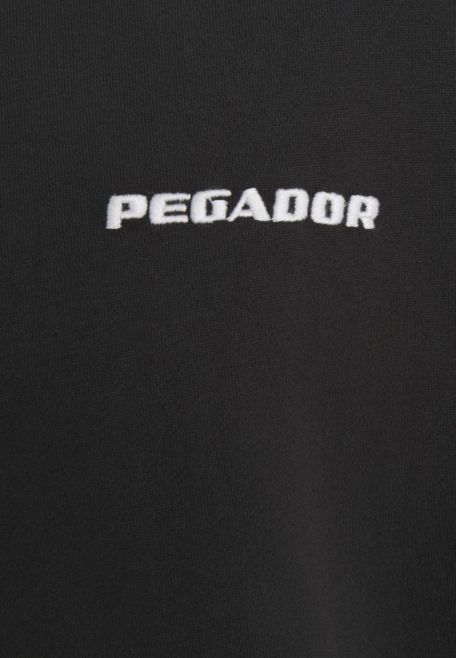 Pegador LOGO HOODIE - Sweatshirt - Washed Black 8 Pegador LOGO HOODIE - Sweatshirt - Washed Black - Image 6