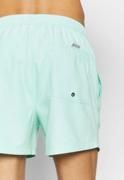 Quiksilver Everyday Volley 15 - Swimming Shorts - Beach Glass -Stock X 2213f8ebb23348f19d30b62af1e3c955