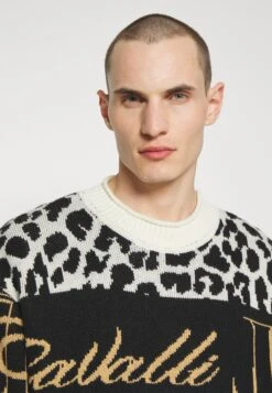 JUST CAVALLI Maglieria - Jumper - Mehrfarbig 12 JUST CAVALLI Maglieria - Jumper - Mehrfarbig -Stock X 286f5fa18d28425591755199aa93066c