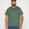 Lacoste Plus - Basic T-Shirt - Sequoia -Stock X 2e02b29c776249b6bf986963da5e2bf5