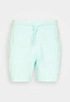 Hollister Co. Script Stores - Shorts - Turq -Stock X 31d0bf9875d24e6eb898800a1fd5c823