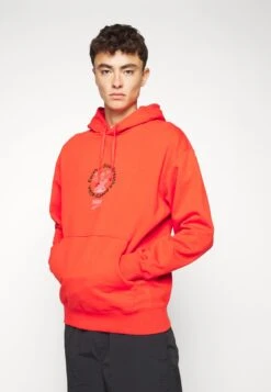 Puma Hoodie - Burnt Red -Stock X 327d21b85c514200a72a30ee3fd80f8d