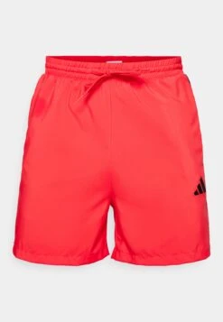 Adidas Sportswear ESSENTIAL THREE STRIPES CHELSEA SHORT - Sports Shorts - Grey Three/white -Stock X 36298af736724c19b739c47ffa3b7150