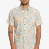 Quiksilver Surfadelica Ss - Shirt - Birch Surfadelica -Stock X 392f6f4bf2a54e78927da2b96fe411a3