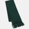 ARKET Unisex - Scarf - Green -Stock X 39a96cb9b21b480c9d786b9f20fec988