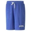 Puma Team - Shorts - Royal Sapphire -Stock X 3abd6900a6e441c0937c7e1c91007786