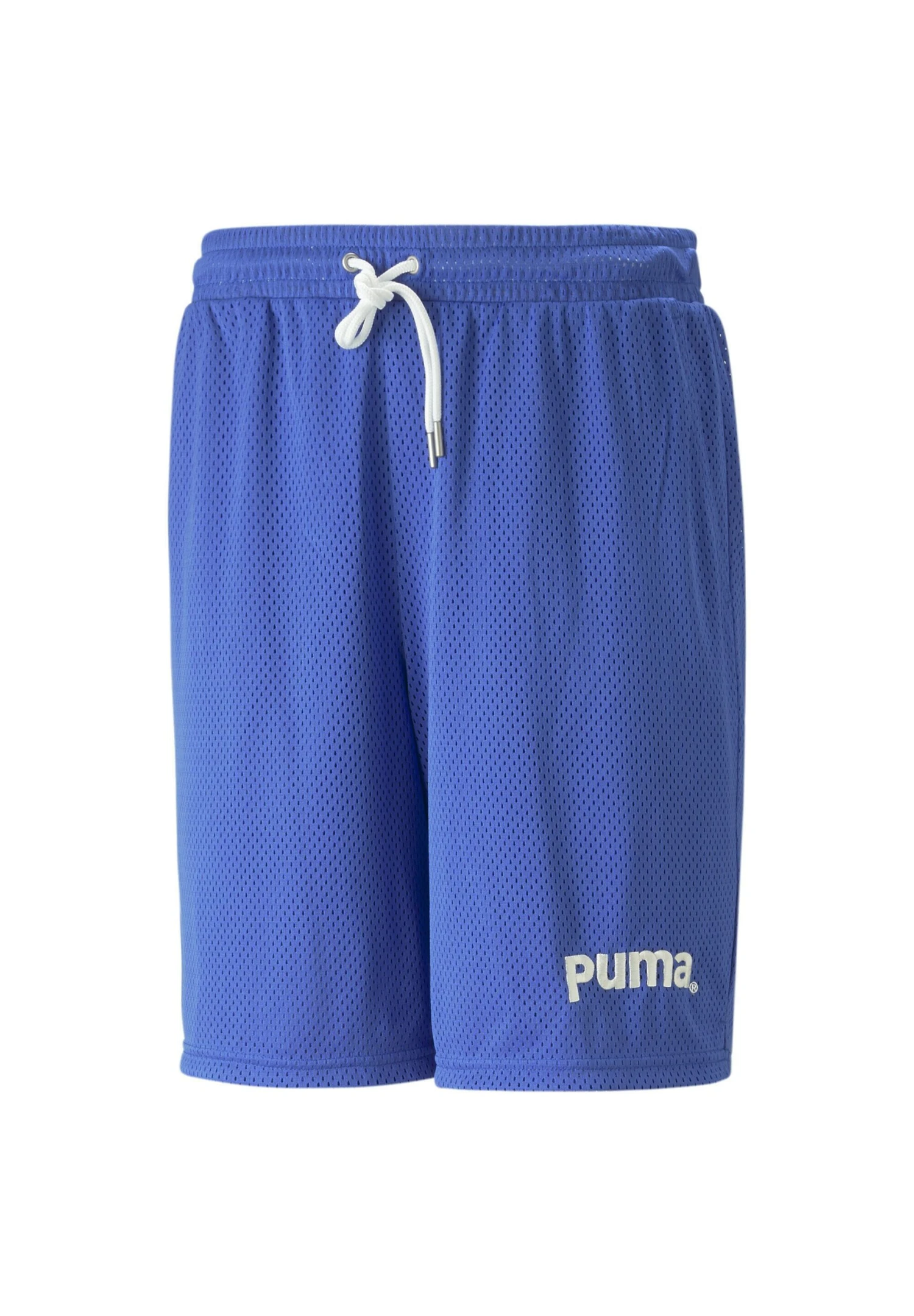 Puma Team - Shorts - Royal Sapphire 3 Puma Team - Shorts - Royal Sapphire