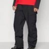 The North Face BLIZZARDERY CARGO PANT - Ski Pants - Black