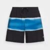 Quiksilver Surfsilk Air-Brush Volley 17Nb - Swimming Shorts - Black -Stock X 4d3b13406874470ea6336df527102bcb