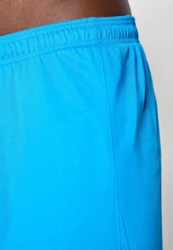 Nike Performance ATLÉTICO MADRID 2025/26 STADIUM THIRD SHORT - Sports Shorts - Photo Blue/white -Stock X 4fba8287a5aa4c91b7d9b5ef30412640