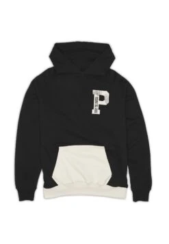Pegador Payne Raglan Hoodie Vintage Unisex - Hoodie - Washed Black Ink -Stock X 5932d707eac547debed593360e4ee8f5