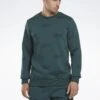 Reebok Ri Aop Crew - Sweatshirt - Forest Green -Stock X 5b1bc5cf54bd43519147352463375305