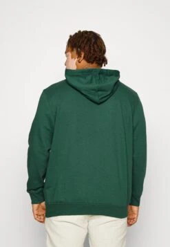 Jack & Jones Jorcodyy- Hoodie - Trekking Green -Stock X 5f6c8e947a5a4467a4d396abff50346c