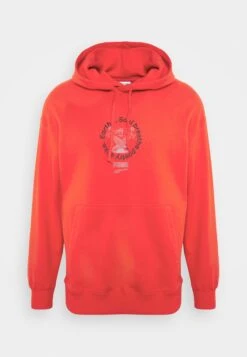 Puma Hoodie - Burnt Red -Stock X 656a97f8474e428599ecce8a6cf4efa4