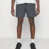 Nike Performance Sports Shorts - Anthracite/Black -Stock X 65e08f399c2844e3b39a49b456a0625b