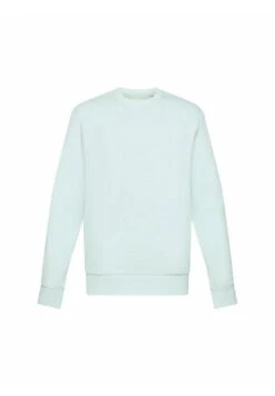 Edc By Esprit Recycelt - Sweatshirt - Light Aqua Green -Stock X 6a868f2dcf924118a5f07ac9d55cff8c