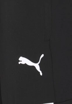 Puma Teamliga Training Pants Pro - Tracksuit Bottoms - Black/White -Stock X 7340309ac9db4976b5ecdd9ebbafcf98