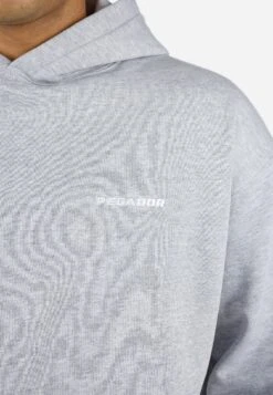 Pegador LOGO HOODIE - Sweatshirt - Heather Grey/white 26 Pegador LOGO HOODIE - Sweatshirt - Heather Grey/white -Stock X 744cc6628f0a424387aa9e7127914a6c
