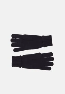 Lacoste Unisex - Gloves - Navy Blue -Stock X 79c339e42c5b4daaa0a0c8df4820b8ef