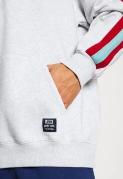 Half Zip Hoodie - Sweatshirt - Light Gray -Stock X 85edcd7a44c74f6e8b22bfe1b1180bc2