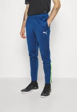 Puma Teamliga Tracksuit - Tracksuit - Persian Blue/Pro Green -Stock X 91b5053d1c9a4c569ceca942c38ff133