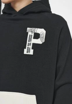 Pegador Payne Raglan Hoodie Vintage Unisex - Hoodie - Washed Black Ink -Stock X 9994582e32734f00a19f4d38e6025bf7