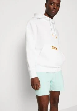 Hollister Co. Script Stores - Shorts - Turq -Stock X 99abfdbc540445b4829b50bb1de96c97