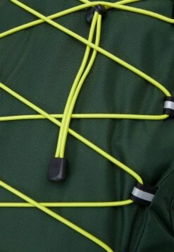 The North Face Borealis Classic Unisex - Rucksack - Pine Needle/Sulphur Spring Green/Black -Stock X a55ea663c49d4b0a9014cd32eb069a88