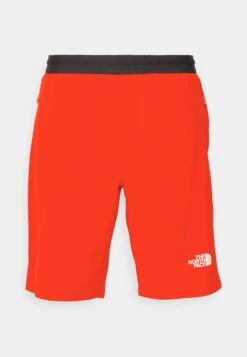 The North Face Short - Sports Shorts - Fiery Red -Stock X b1144b18d75c47389ef16d8afb47d9a1