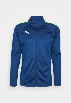 Puma Teamliga Tracksuit - Tracksuit - Persian Blue/Pro Green -Stock X b31ffdf6e1c1439ab8800bd6d7f99b71