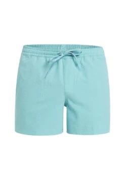 Quiksilver EVERYDAY FLEX VOLLEY - Swimming Shorts - Malachite Green -Stock X b3fa3c17209148dc97fde62b781c4abc