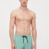 Quiksilver EVERYDAY FLEX VOLLEY - Swimming Shorts - Malachite Green