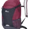 Jack Wolfskin Velocity 12 - Rucksack - Sangria Red -Stock X ba32fb080d8c47928335deb7404dc9f4