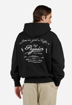 Pegador CARLON HOODIE - Hoodie - Washed Black