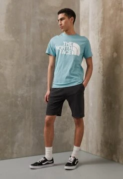 The North Face Standard Tee - Print T-Shirt - Reef Waters -Stock X bff14b37284c4c05bb7c31e81b515077