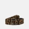THE KOOPLES Ceinture - Belt - Brown